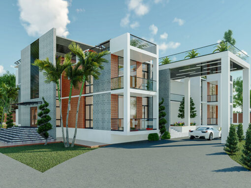 Duplex Project